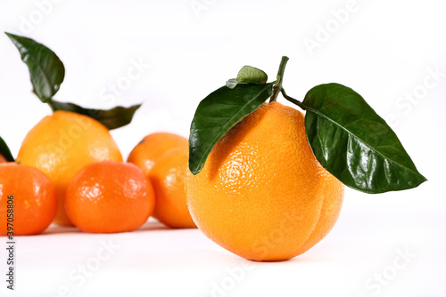 Arance siciliane con foglie e mandarini isolati su sfondo bianco