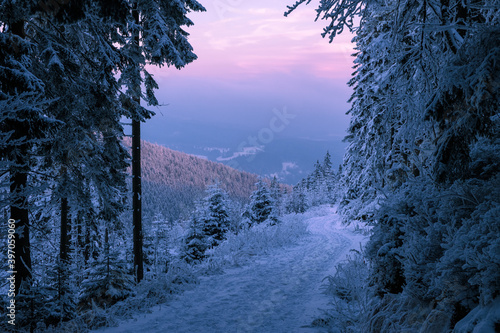 winter landscape in the mountains