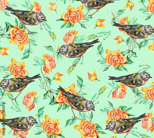 Pattern of exotic birds and flowers (yellow roses) on a light green background. Watercolor. Idea for wallpaper, website background, fabric, wrapping paper, prints. 