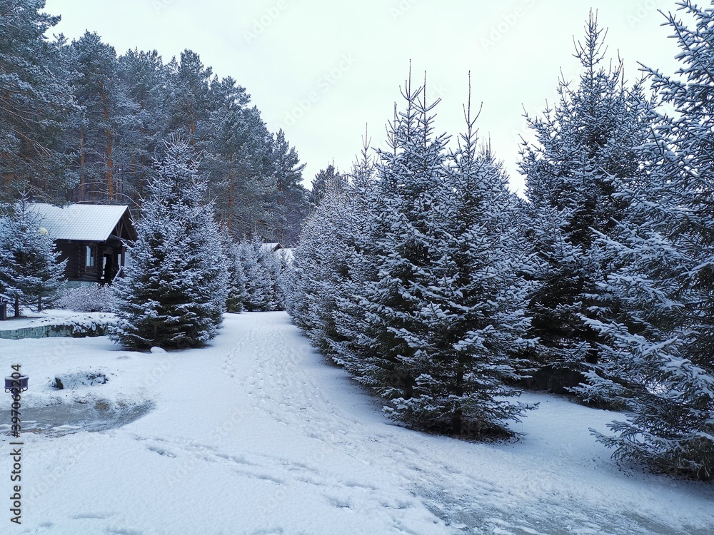 winter landscape with snow covered trees winter landscape with snow covered trees