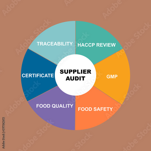 Diagram of Supplier Audit concept with keywords. EPS 10 isolated on white background