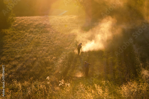 Two hard-working villagers gather the rich harvest from the field