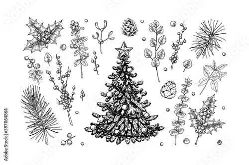 Set of hand drawn decorated Christmas tree, plant branches, cones and berries isolated on white background. Christmas decoration elements. Vector illustration