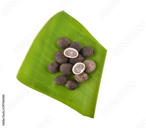 Barometer Earthstars, Mushroom isolated on white background. photo