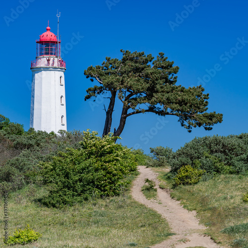 Dornbusch auf Hiddensee