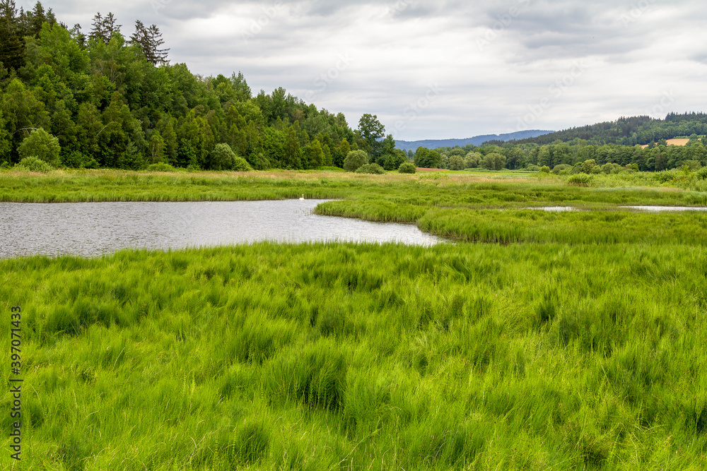 Fototapeta premium Bavarian Forest scenery