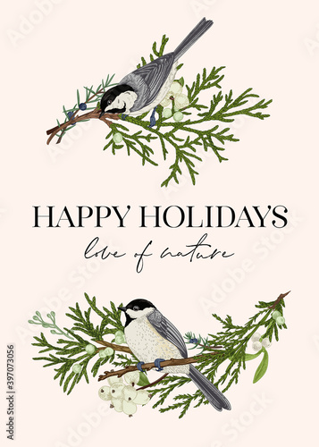 Christmas card with two birds.