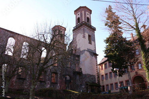 Blick auf die Klosterruine Frauenalb im Schwarzwald photo