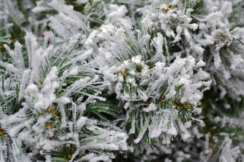 Close-up of artificial white Christmas tree, branches look like covered with snow frost. Tender Christmas holiday background