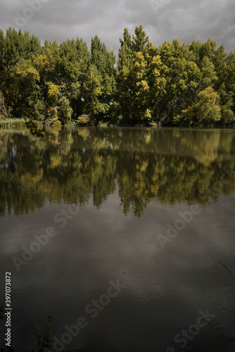 lake in the forest