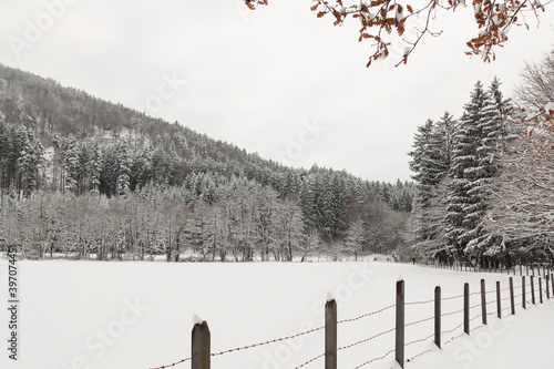 Schnee Landschaft photo