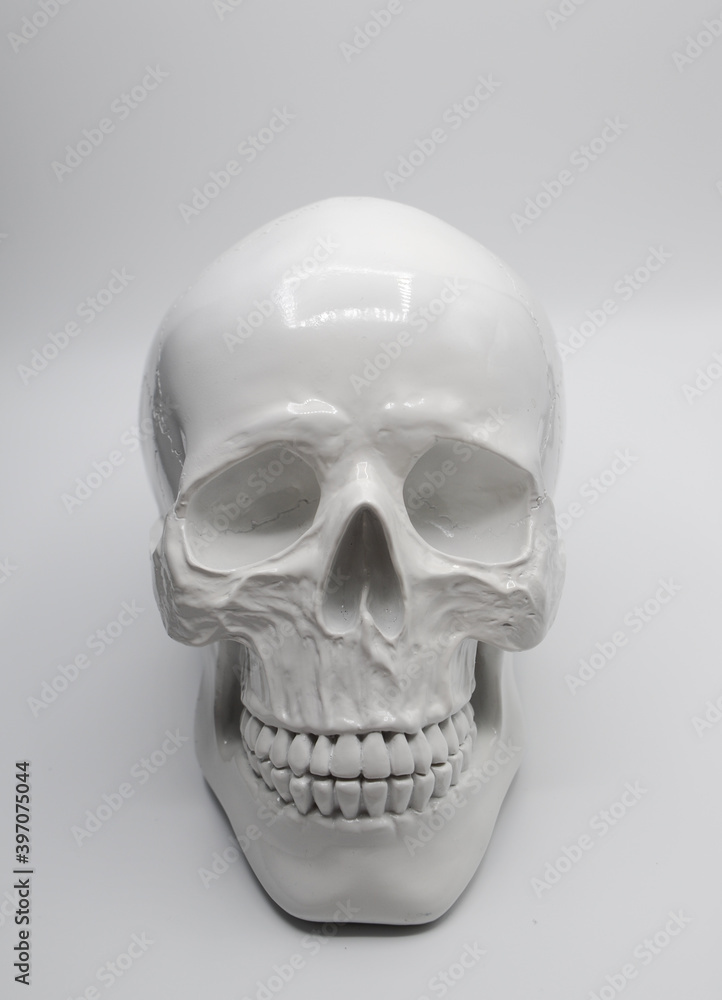 Obraz premium human skull isolated