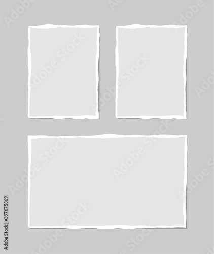 Set of torn white note. Scraps of torn paper of various shapes isolated on gray background. Vector illustration.