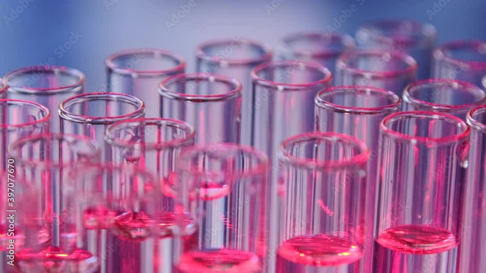 A scientist with a gloved hand takes a test tube of liquid from a stack of test tubes on a scientific stand and puts it back, close-up. A scientist with a gloved hand takes a test tube of liquid from a stack of test tubes on a scientific stand and puts it back, close-up.