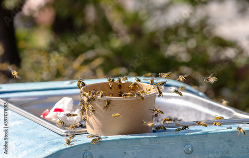 Several wasps are buzzing around an ice cream sundae