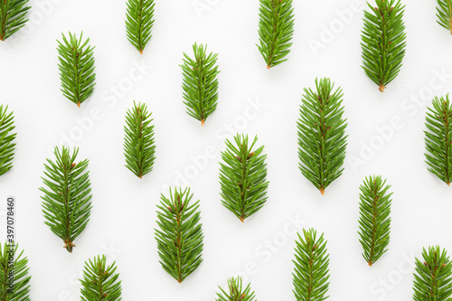 Pattern of fresh green spruce branches on white table background. Closeup. Top down view.