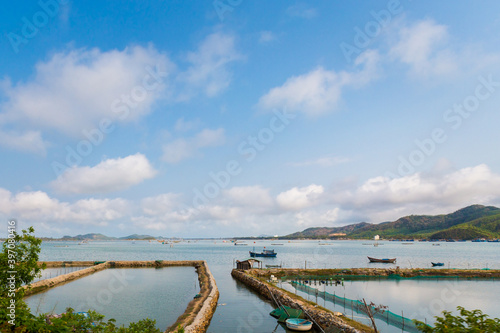 Wallpaper Mural Shrimp farm in Quin Nhon Torontodigital.ca