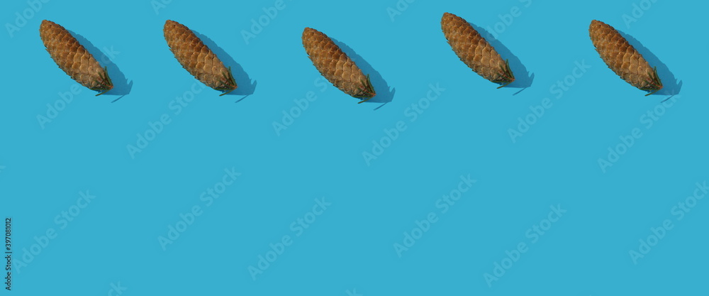 fir cones on a blue background fir cones on a blue background