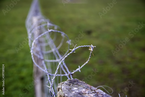 Barbed wire immigration