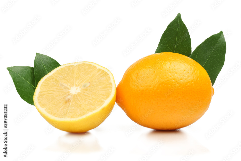 Lemons isolated on white background