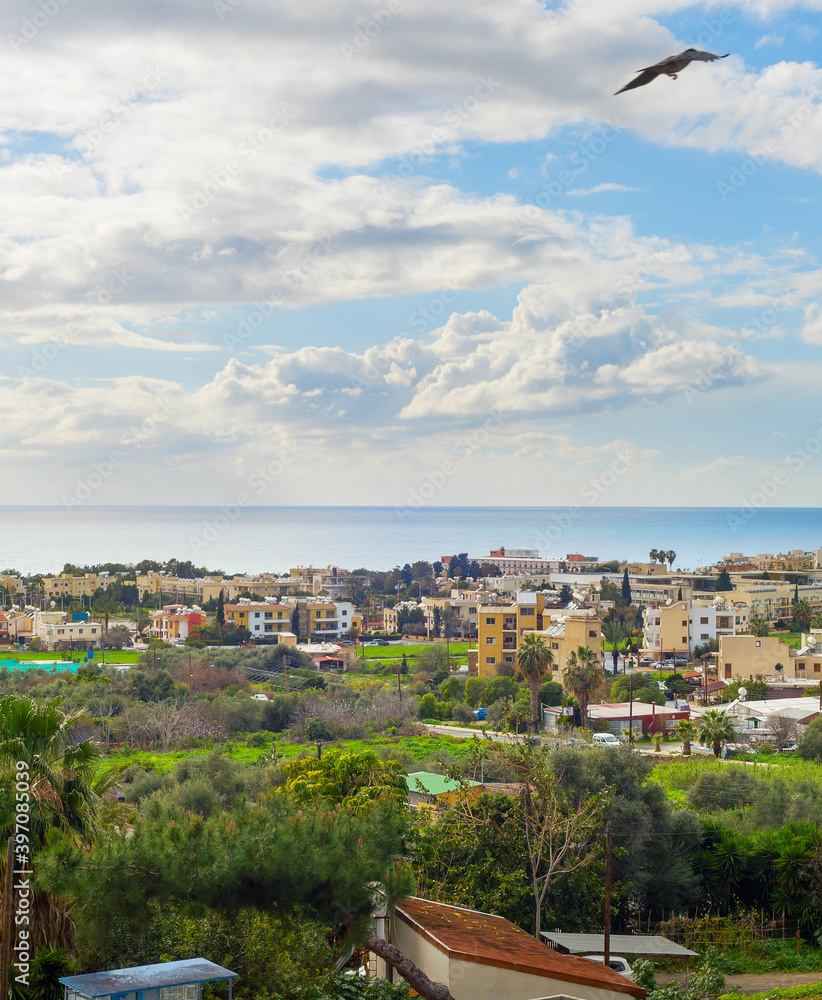 Fototapeta premium Skyline Paphos bird flying Cyprus