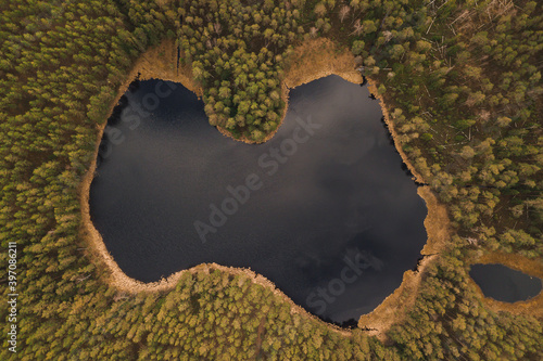 drone shot aerial look view from above of a lake unique shape Latvia Salainis in the forest woods trees reflection