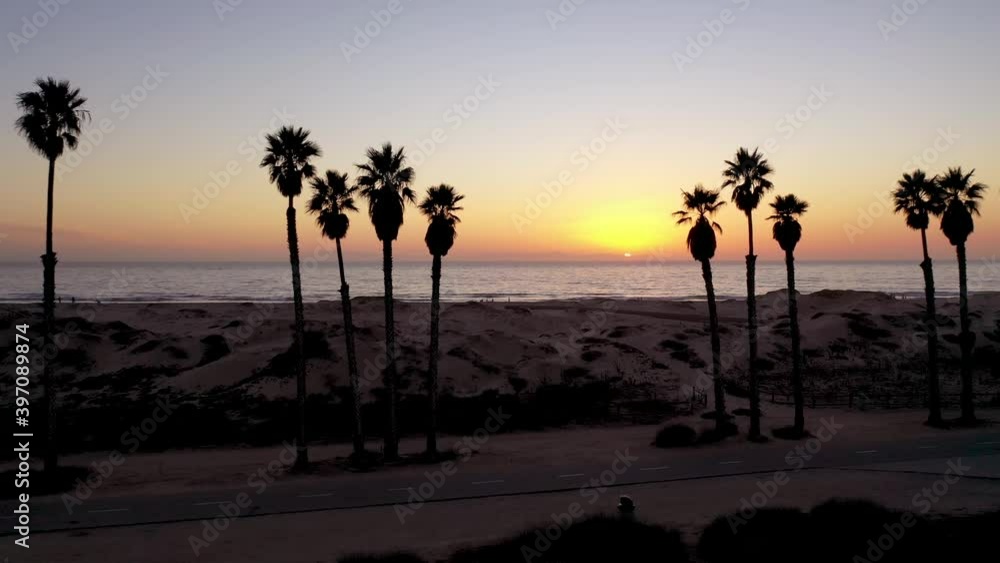 Beautiful aerial through palm trees at sunset at a Southern California beach.