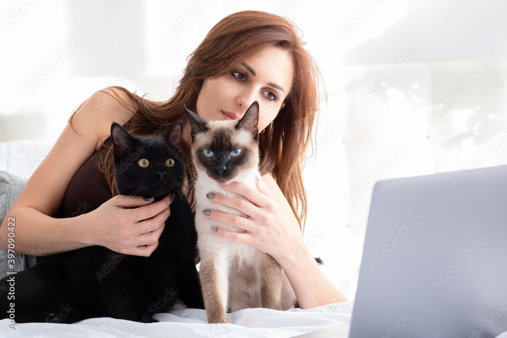 young woman using laptop having video call with her two cats laying together on bed.