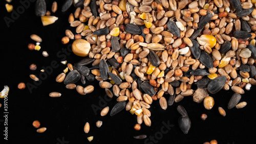 Seeds for feeding birds, on black background