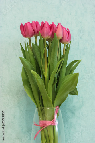 Bouquet of tulips with a pink ribbon in a transparent vase against the blue wall, Happy Birthday, 14 February or 8 March.