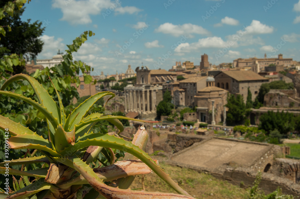 Vistas en altura del foro romano, restos de una de las civilizaciones más antiguas del mundo