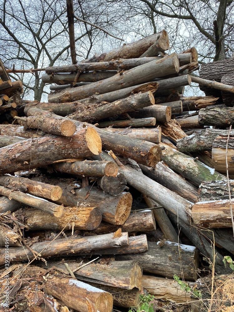 stack of firewood