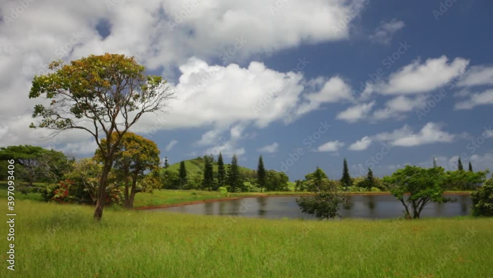 Lake in remote Kauai landscape, wide
