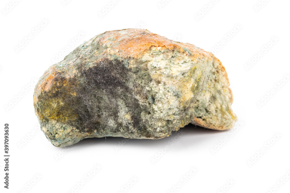 Studio lighting. a piece of white bread on a white background. Moldy. No isolation. Studio lighting. a piece of white bread on a white background. Moldy. No isolation.
