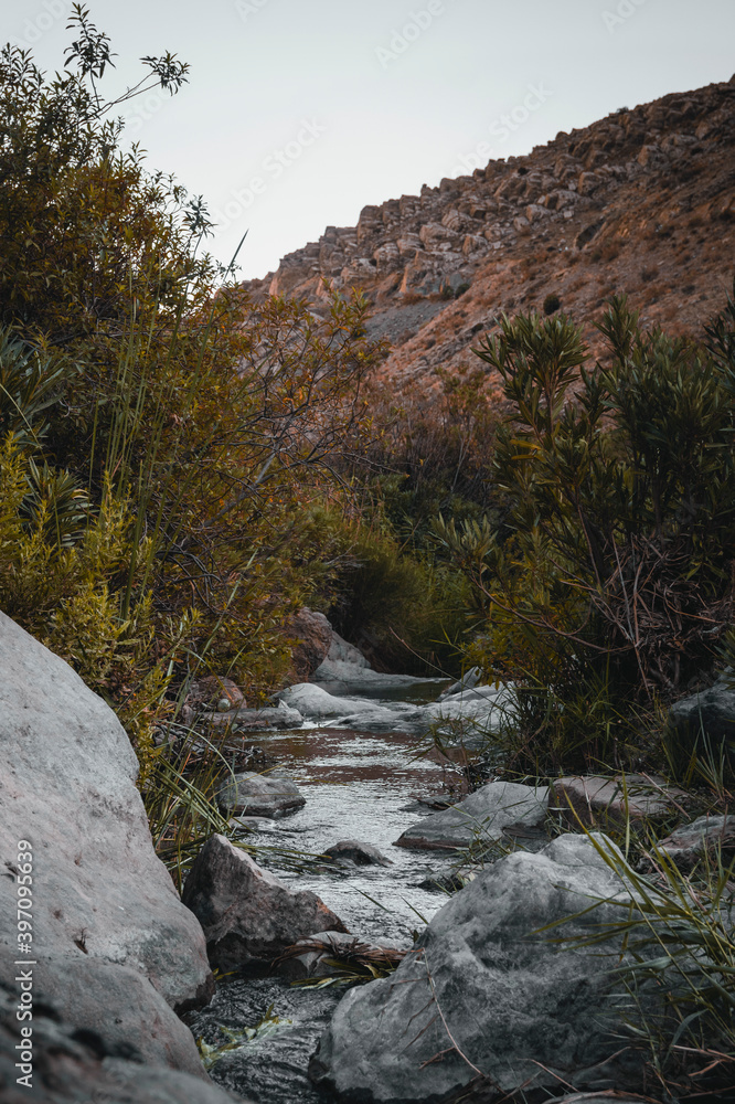 river in the forest . landscape in algeria
Beautiful moment the miracle of nature . sunset in the mountains river in the forest . landscape in algeria
Beautiful moment the miracle of nature . sunset in the mountains