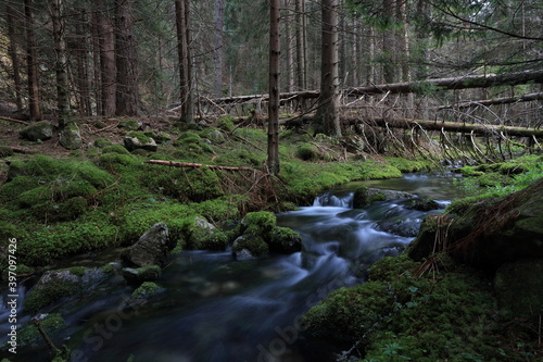 Beli Iskar eco trail, named after the river it goes along, may be (I think) one of the most beautiful and underestimated nature trails