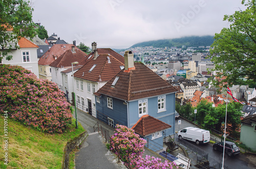 Typical wooden houses and a lot of blossoming flowers in Bergen, Norway photo