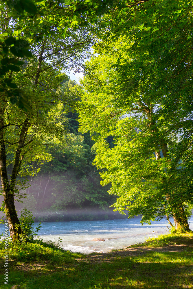 Fototapeta premium Beautiful sunny morning at the forest with the river