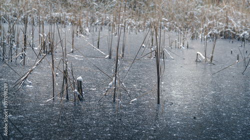 Fototapeta Naklejka Na Ścianę i Meble -  Zamarznięte jezioro w środku lasu zimą