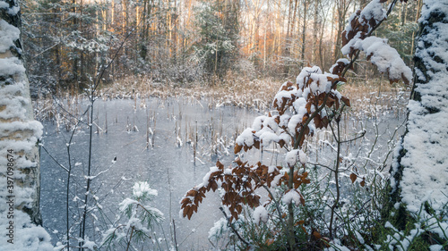 Fototapeta Naklejka Na Ścianę i Meble -  Zamarznięte jezioro w środku lasu zimą