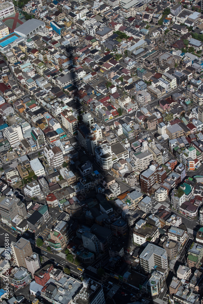 Obraz premium sky tree