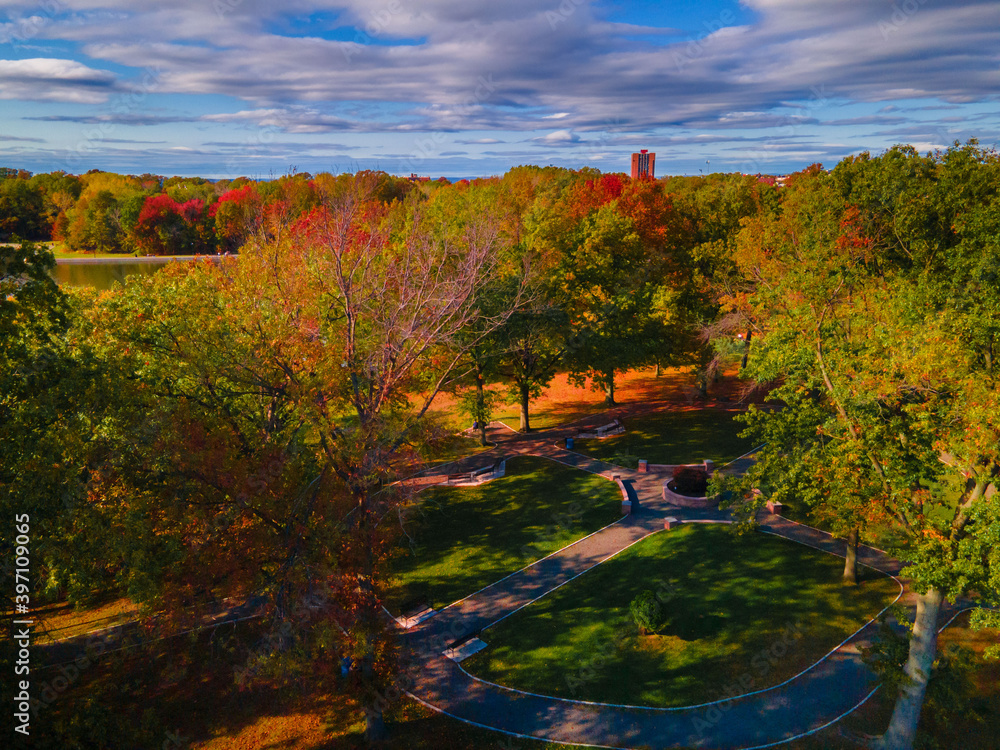 Obraz premium autumn landscape with trees