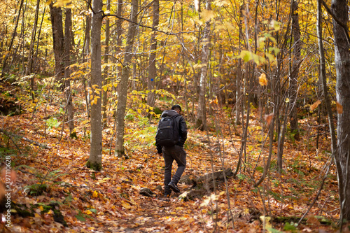 Man Hiking in Autumn Forest © Nila Sivatheesan