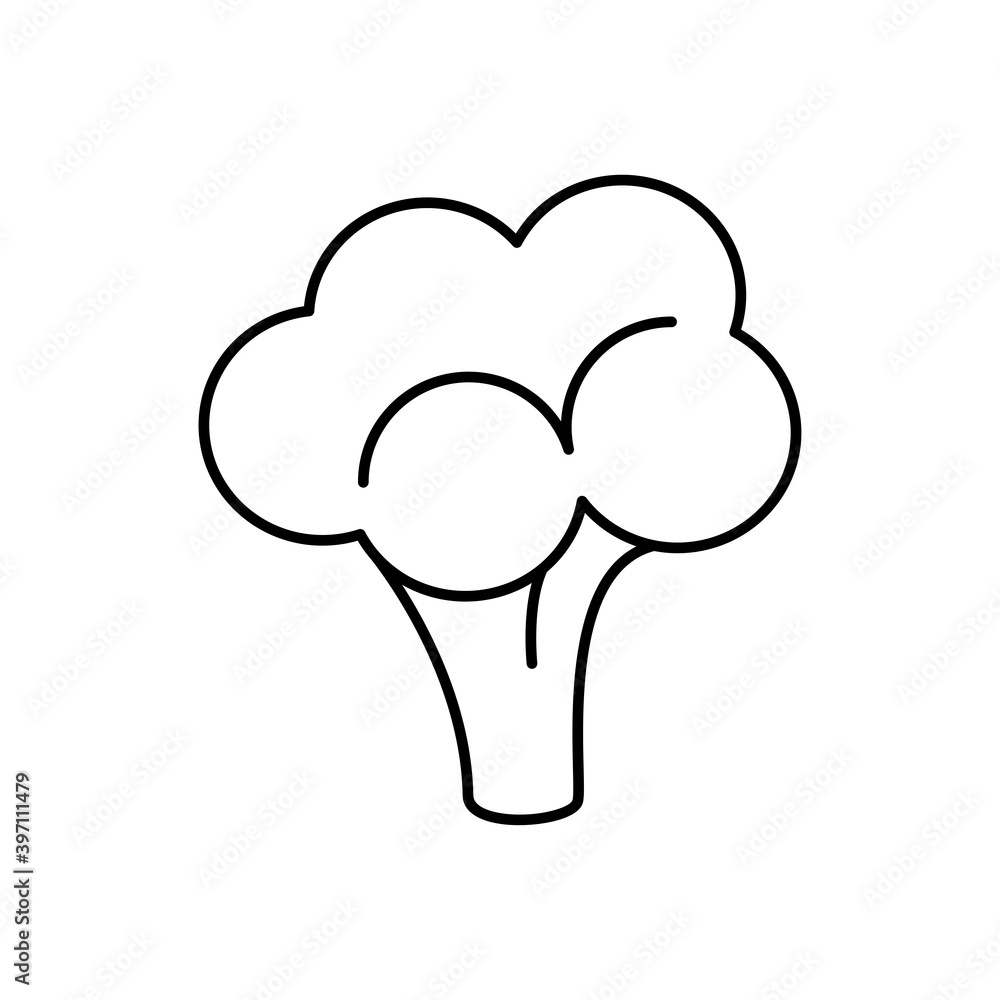 Broccoli outline icon. Food, outline vector illustration. Broccoli outline icon. Food, outline vector illustration.