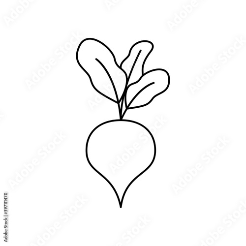 Beetroot outline icon. Food, outline vector illustration.