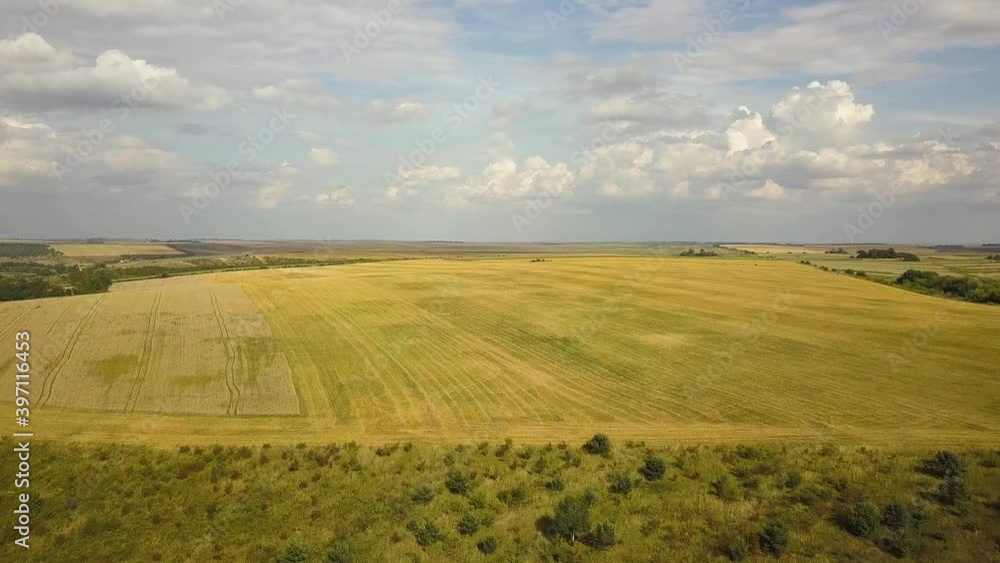 Aerial rural landscape with yellow patched agriculture fields and blue sky with white clouds. Aerial rural landscape with yellow patched agriculture fields and blue sky with white clouds.