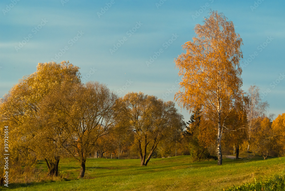 green meadow and trees in autumn. the promenade in Kengarags green meadow and trees in autumn. the promenade in Kengarags