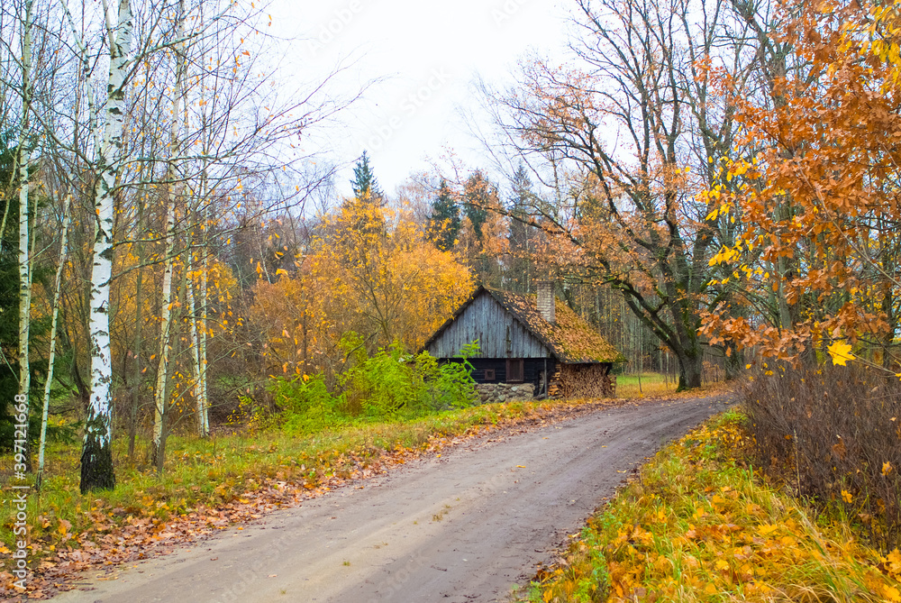 wooden bathhouse in autumn in the forest wooden bathhouse in autumn in the forest