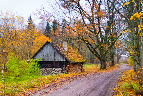 wooden bathhouse in autumn in the forest