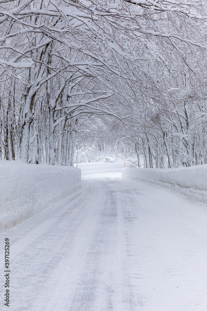 Obraz premium くねくね雪道